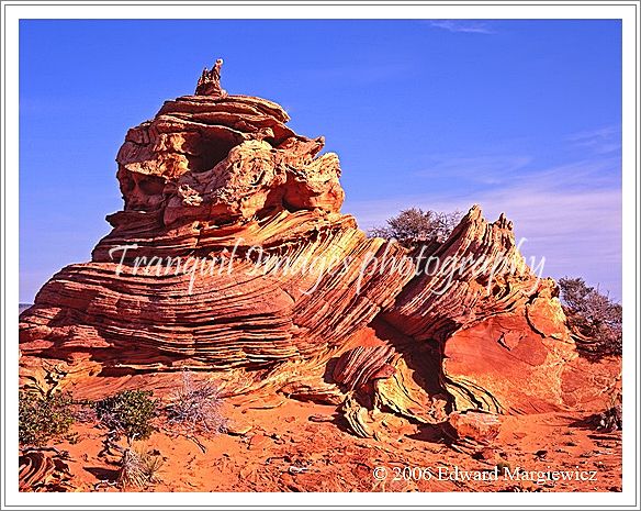 450408   South Coyote Buttes wilderness area 